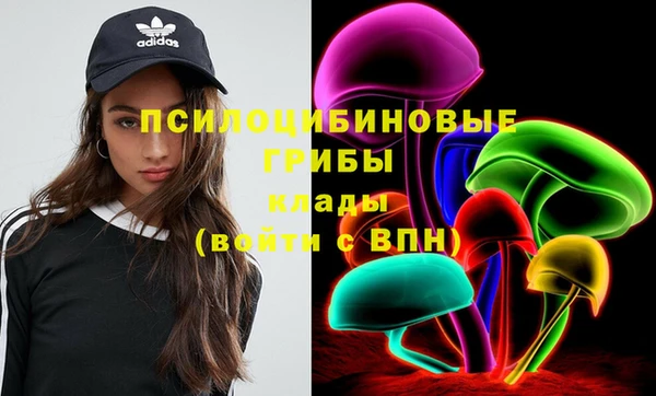 хмурый Вуктыл