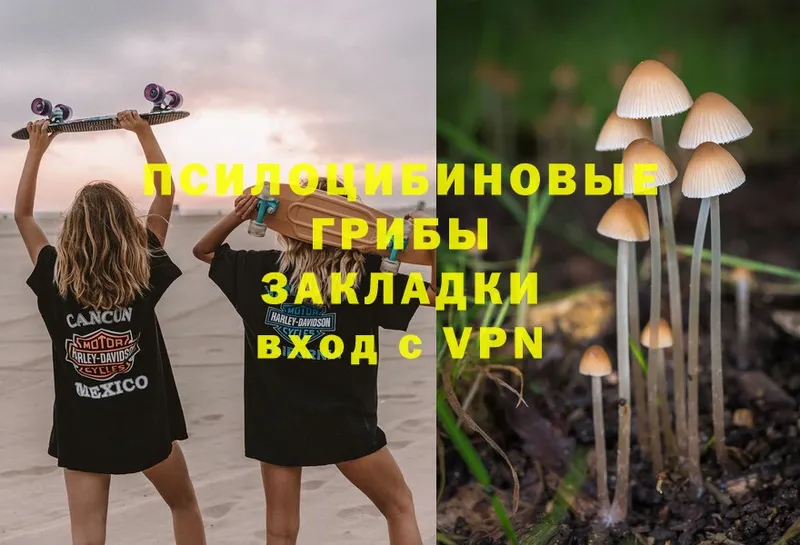 Псилоцибиновые грибы MAGIC MUSHROOMS  Котлас 