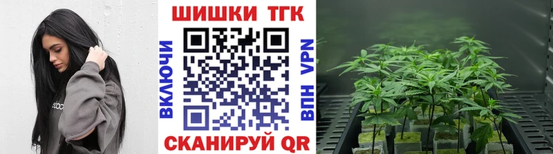 Конопля LSD WEED  Котлас 